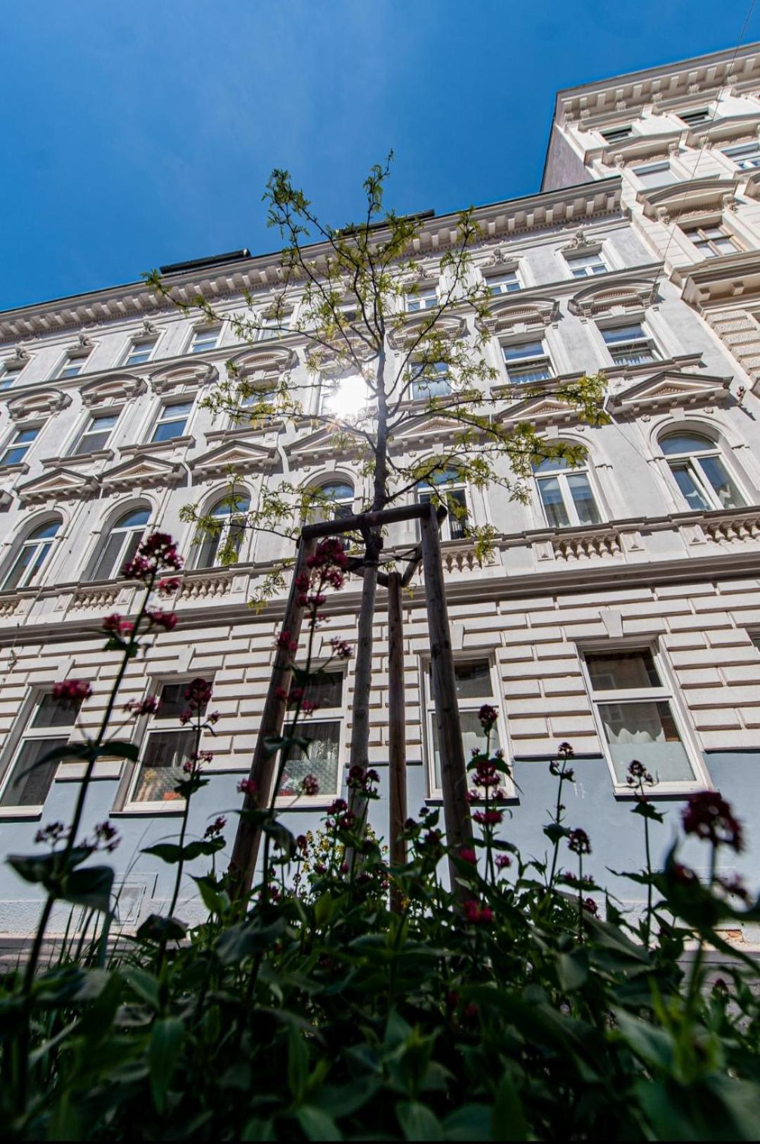 Vienna My City Apartment 2Bedroom Esterno foto